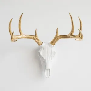 Deer Skull with Gold Antlers Wall Art