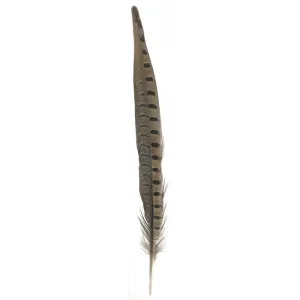 Pheasant Feather Dark Brown w/ Black Spots 12-14