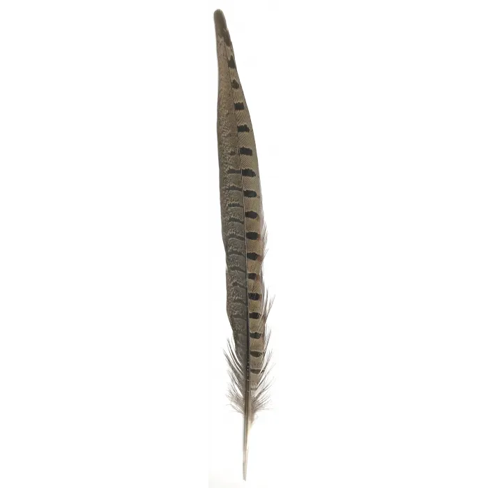Pheasant Feather Dark Brown w/ Black Spots 12-14
